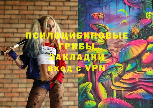альфа пвп Инта