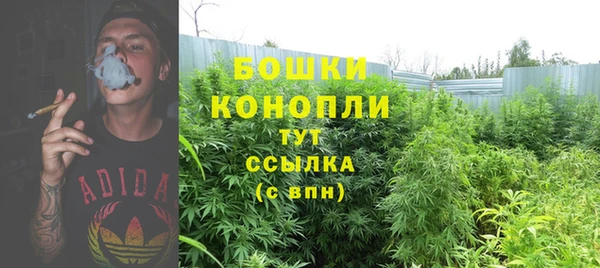 бошки Инсар