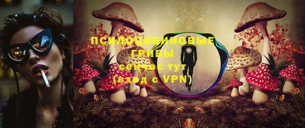 круглые Иннополис