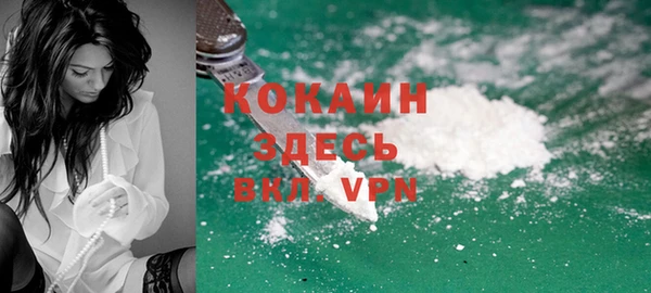 бошки Инсар