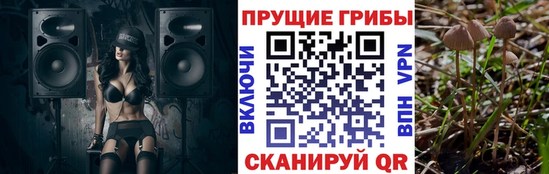Галлюциногенные грибы GOLDEN TEACHER  Купить закладки  Верхотурье 